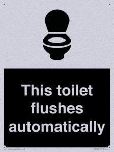 This toilet flushes automatically